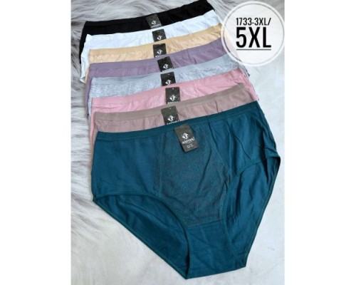 Труси дружин. Батал АNTTIFU 1733 асорті 3ХL-5XL (24 шт в уп)