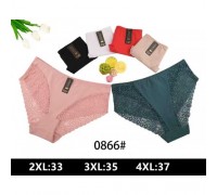 Труси дружин. Коттон NADIZI 0866 асорті р-р 2XL-4XL (24шт в уп.)