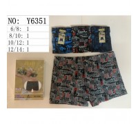 Боксеры подросток Коттон+Бамбук SD BOY6351 ассорти 6-8; 8-10; 10-12; 12-14 лет (12/6 шт в уп)