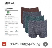 боксери INSUNG Бавовна + бамбук БАТАЛ 25506 асорті 5XL-7XL (12/6шт)