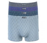 боксери Індена BAMBUK 61010 асорті L-4XL (12/6шт)