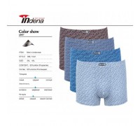 Боксери Індена Полу-Батал 11441 Бавовна асорті  3ХL-4XL (12/6шт)