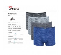 Боксери Індена 81382 Бавовна  асорті L-4XL  ( 6/12 шт)