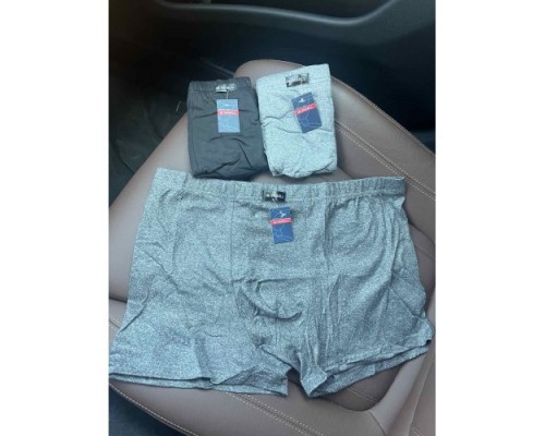 Боксеры VASALL 1038 хлопок+бамбук ассорти  ХL-4XL ( 12 шт в уп)