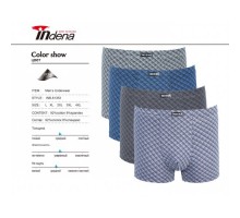 Боксери Індена 81353 Бавовна  асорті L-4XL  ( 6/12 шт)