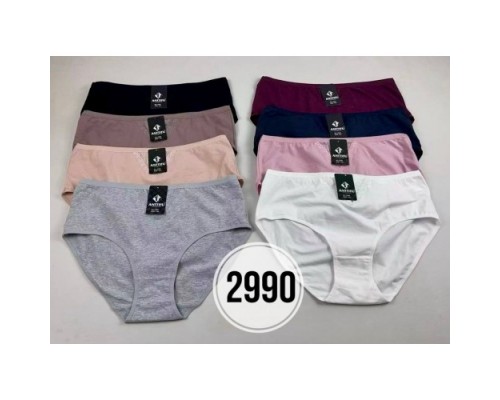 Труси жін. АNTTIFU 2990 ХL-3XL (12/6 шт в уп)