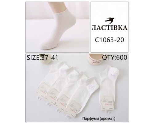 Шкарпетки жін. короткі Бавовна Ластівка 1063-20 Бавовна білі 37-41 (10 шт в уп)