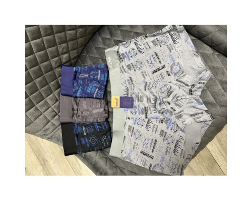 боксеры Индена BAMBUK бесшовные  2602 L-4XL ассорти (12/6шт)