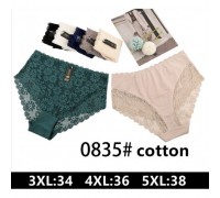 Труси дружин. NADIZI 0835 Х/Б асорті р-р 3XL-5XL (24шт в уп.)