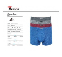 Боксери Індена 81121 Бавовна L-4XL асорті (6шт)