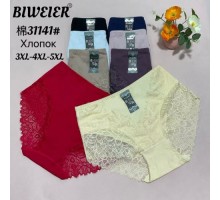 Труси фібра BIWIER 31141 асорті 3XL-5XL (24 шт. в уп)