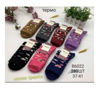 Носки жен. высокий Термо полиєстер ФЕННА 6022 ассорти 37-41 (10 шт в уп)
