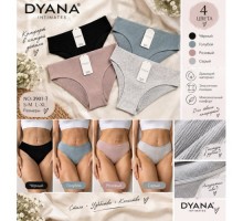 Труси дружин. DYANA 9144 асорті M-XL (24 шт в уп.)