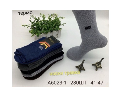 Шкарпетки чоловічі високі ТЕРМО полієстер ФЕННА 6023-1 асорті 41-47 (10 шт в уп)