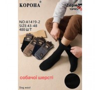Шкарпетки чоловік. високий Термо шерсть Корона 1419-2 асортіі 41-47 (10 шт в уп)
