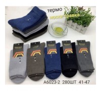 Носки муж. высокий  ТЕРМО полиєстер  ФЕННА 6023-2 ассорти 41-47 (10 шт в уп)